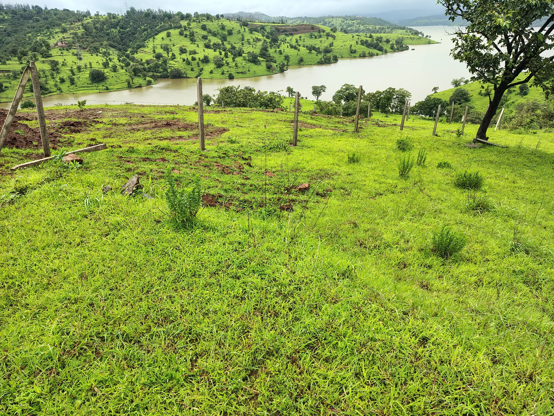 Actual green site landscape at Anubbhuti Farms