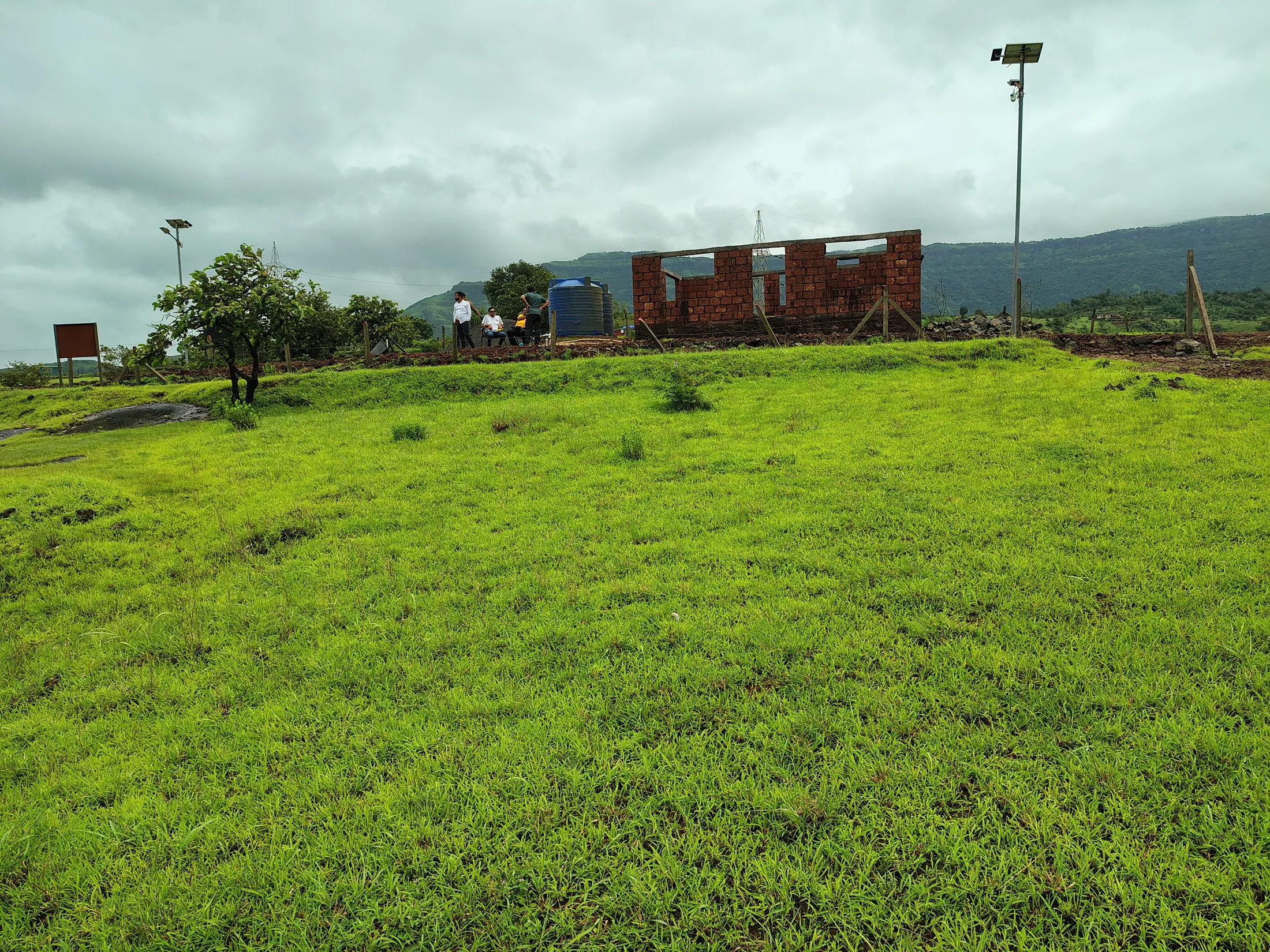 Green land at the Anubbhuti Farms site